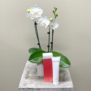 Phalaneopsis Orchid + Ecoya Hand Cream