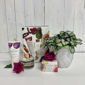 The gift of green- Easy care, long lasting gift bundle