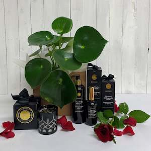 Deluxe Polybotrya Houseplant and Surmanti Bundle