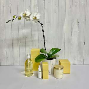 Gorgeous Orchid and Lyttleton Lights Gift Bundle Sets - The Complete Gift