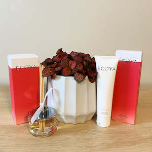 Fittonia + Ecoya Gift Pack