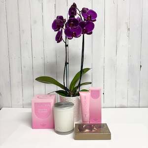 Fabulous gift bundle - stunning double stem Phalaenopsis Orchid, Candle, Handcre…