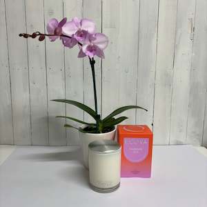 Beautiful pink Phalaenopsis Orchid with deliciously scented Large Ecoya Mandarin Gin Candle