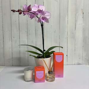 Beautiful pink Phalaenopsis Orchid with deliciously scented Ecoya Mandarin Gin C…