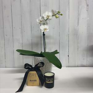 Stunning White Phalaenopsis Orchid paired with a cute Surmanti Candle Gingerbrea…