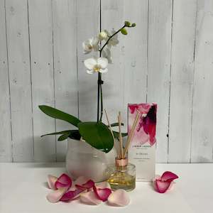 Pretty gift bundle with a white Phalaenopsis Orchid and a Linden Leaves diffuser