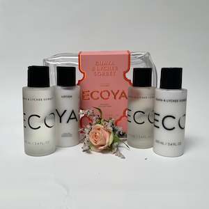 Guava and Lychee Sorbet Mini Takeaway Set