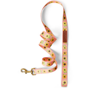 Kip & Co Sunflower Sunshine Dog Lead