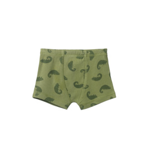 Boxer Shorts | Chameleon Print