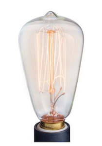 Chutneys or relishes: EDISON REPLACEMENT BULB