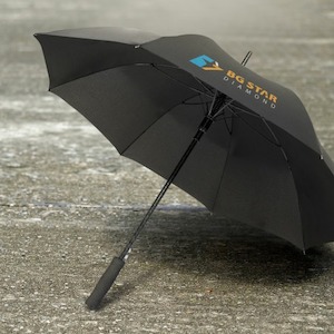 Business service: Cirrus Umbrella