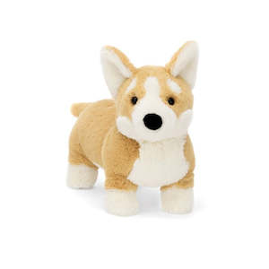 Betty Corgi Brown & White