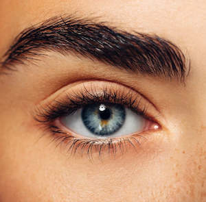 Beauty salon: LASHES & BROWS