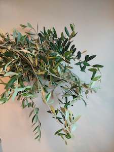 Internet only: Olive foliage** Long stems** Great colour and filler