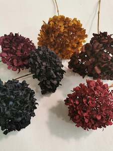 Naturally dried & tinted Hydrangea * PICK YOUR OWN COLOURS *