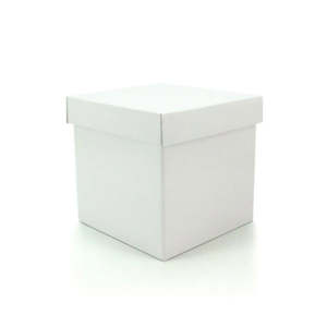 Cube Gift Box w/Lid 18Sqx18Hcm Pk/10 - White