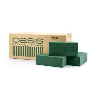 Oasis IDEAL Floral Foam Wet Ctn/20 - Green (20IDEAL-00)