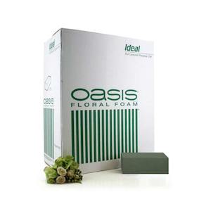 Oasis IDEAL Floral Foam Wet Ctn/60 - Green (60-00)