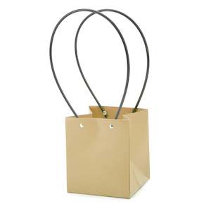 Kraft Square Bag w/Handles 13Sqx15Hcm Pk/10 - Natural Brown