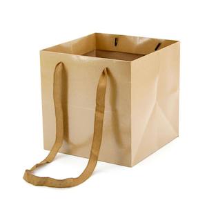 Flower Carrier Bag w/Handles Small 22Sqx22Hcm Pk/10 - Natural