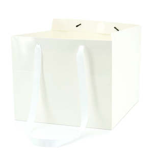 Flower Carrier Bag w/Handles Large 30Sqx25Hcm Pk/10 - White