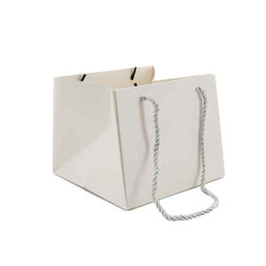 Matt Coloured Square Bag w/Handles 17Sqx14Hcm Pk/10 - White