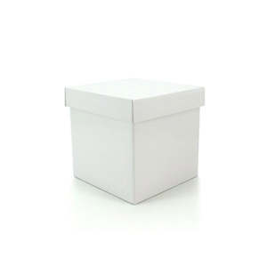 Cube Gift Box w/Lid 16Sqx16Hcm Pk/10 - White