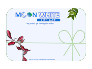 moonwhite.co.nz gift card