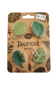 Plant, garden: Tropical leaf magnets