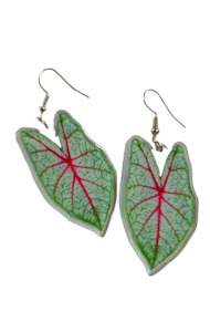 Plant, garden: Caladium Earrings