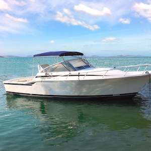 Stainless Steel 4 Bow Cruiser Bimini Top