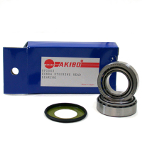 Motorcycle or scooter: Akibo steering head bearings / suspension parts