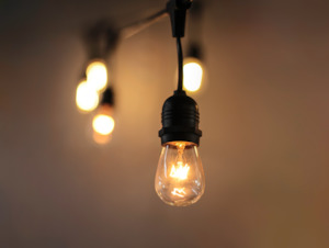 Festoon String Lights with 11W Vintage Edison Bulbs