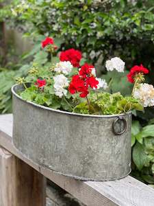 Large Oval Iron Tub Planter