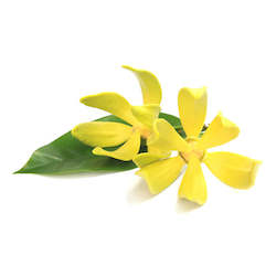 Ylang-Ylang Essential Oil 5ML