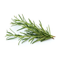 Rosemary Essential Oil 5ML