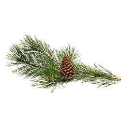 Pine Essential Oil 5ML