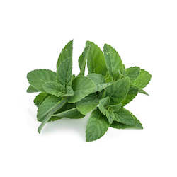 Peppermint Essential Oil 5ML