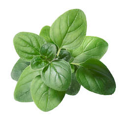 Oregano Essential Oil 5ML