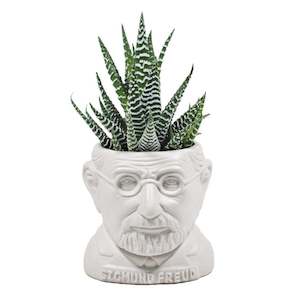 philosophers guild - Freud planter