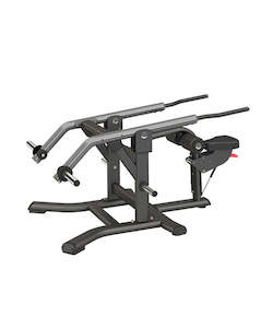 Gymnasium equipment: TRICEP DIP MACHINE