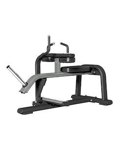 Gymnasium equipment: SEATED CALF RAISE