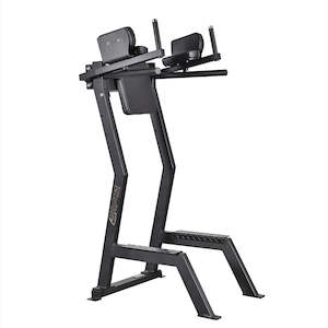 Gymnasium equipment: Gymleco 173 LEG RISE