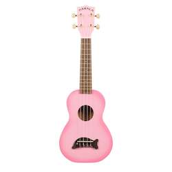 Music teaching: Makala Ukulele