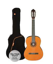 Music teaching: Ashton Classical Guitar & Bag - 1/2 Size