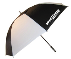 Music teaching: MusiqHub Umbrella