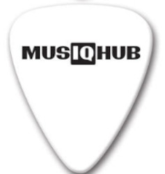 MusiqHub Guitar Pick