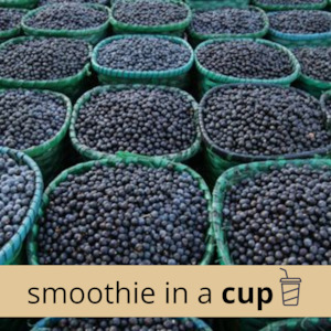 Açaí Berry Classic Smoothie -- Cup