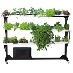 Medium My Greens Hydroponics Tower (48 plant spots)