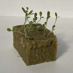 Hydroponic Accessories: Stonewool Cube Slab